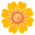 :blossom: :blossom: