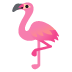:flamingo: :flamingo: