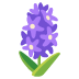 :hyacinth: :hyacinth: