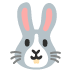 :rabbit_face: :rabbit_face: