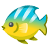 :tropical_fish: :tropical_fish: