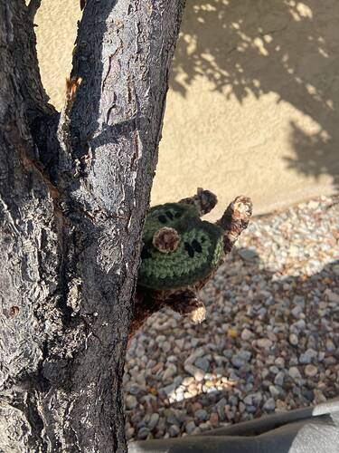 korok1hidingbehindtree
