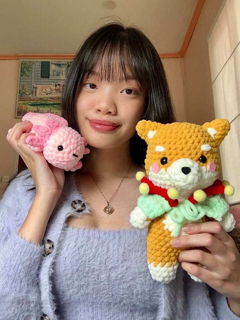 BaoBao the Secret Wooble pattern : r/crochet