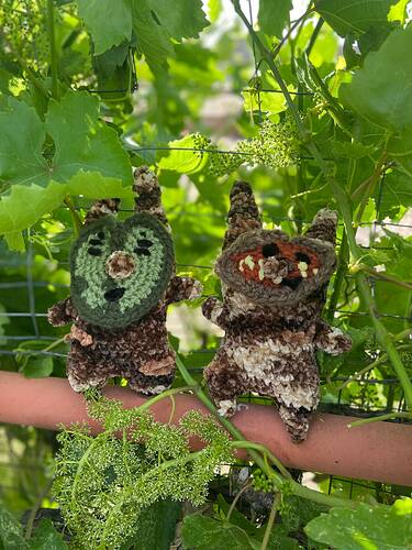bothkoroksinfrontofleaves