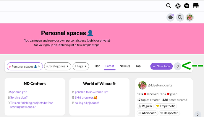 Screenshot 2024-08-07 at 10-33-04 Latest Personal spaces 👤 topics - Ribblr community
