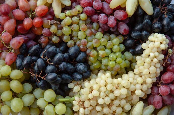 grapes-varieties©iStock