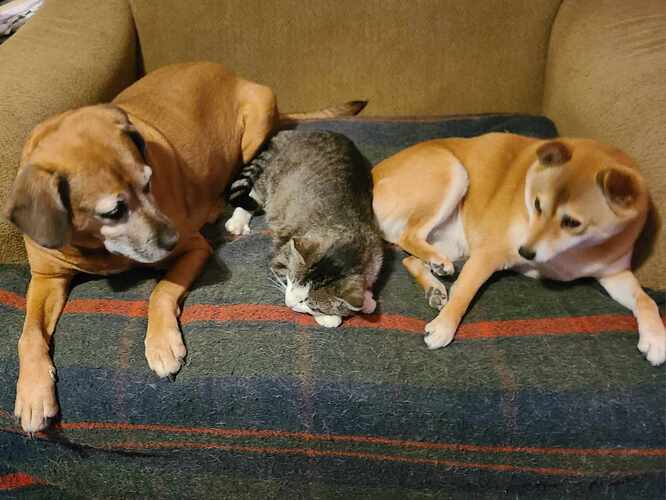 Cleo Prince and Sheba