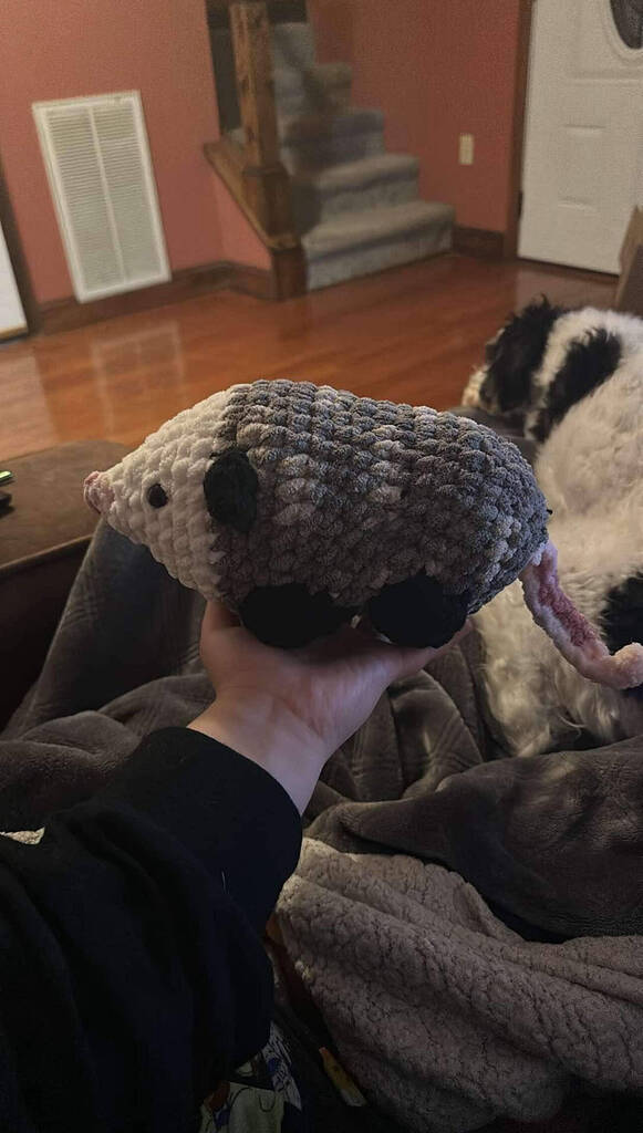 Hello Goodvibes Ribblr Community