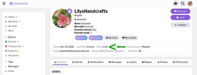 Screenshot 2024-09-10 at 15-43-01 Summary - LilysHandcrafts - Ribblr community