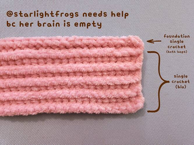 @starlightfrogs needs help bc her brain is empty_20240405_204534_0000