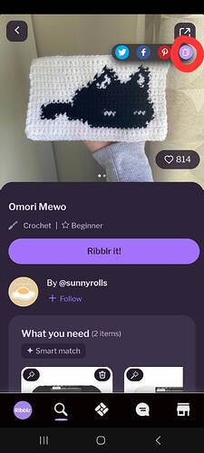 Screenshot_20241011_202156_Ribblr
