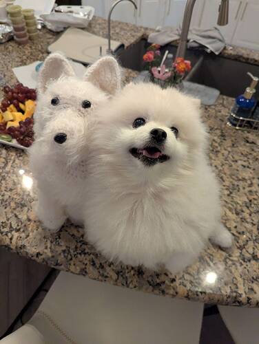 image000002