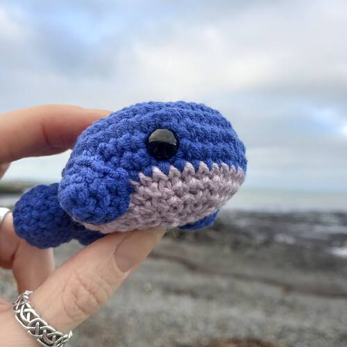 whale