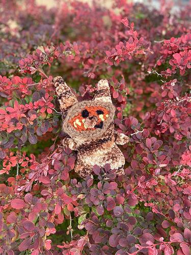 korok2redleafbush