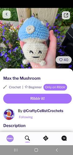 Screenshot_20241003-162346_Ribblr