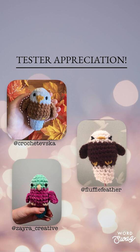 new pattern release+ tester appreciation! - Crochet 🧶 - Ribblr community
