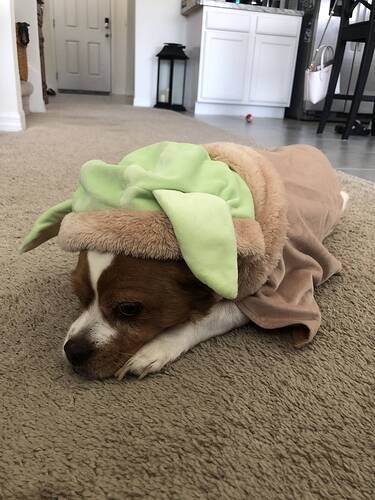 73653647593__B20E3F30-86A7-4228-8D81-C28EBC9C868D