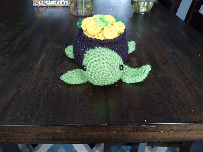 IMG_20240225_162012713