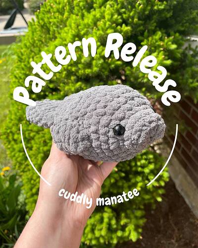 Manatee Release - 1