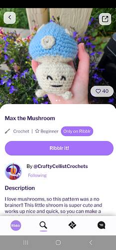 Screenshot_20241003_132241_Ribblr