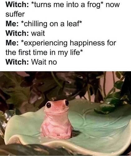 frog-now-suffer-chilling-on-leaf-witch-wait-experiencing-happiness-first-time-my-life-witch-wait-no