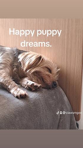 fbc402db3062199f3db6d927c818cc2a_0