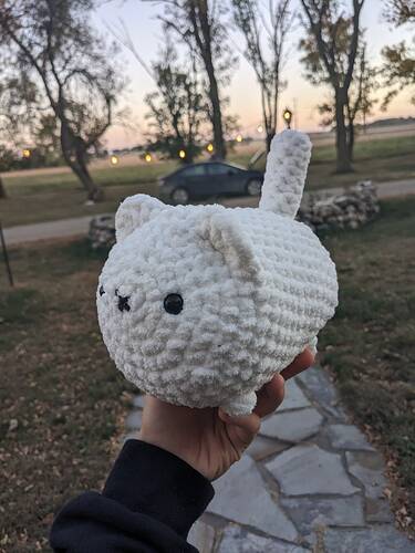 PXL_20241006_235355263