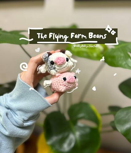 The Flying Farm Beans (1)