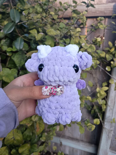 IMG_20260131_171421233