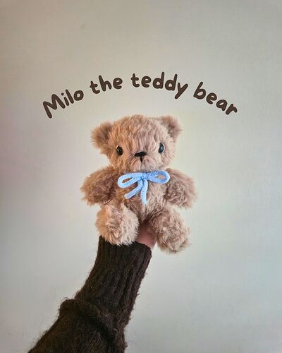 Milo the teddy bear_20260414_144219_0000