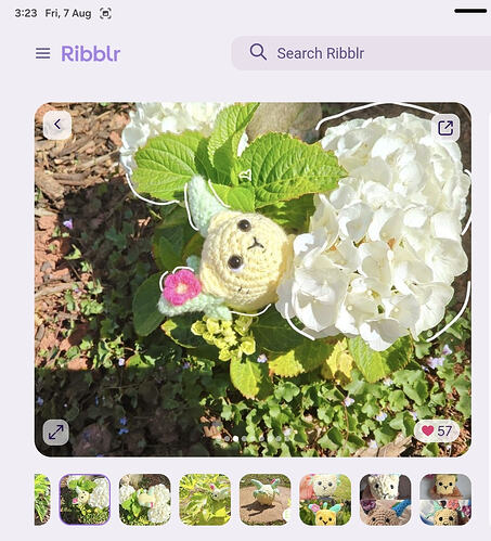 Screenshot_20260807_152405_Ribblr