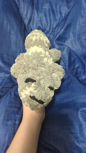 IMG_17585099951861885545238973424870