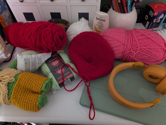 IMG_1761165550323607253341294491011