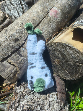 IMG_20260318_125736846_HDR