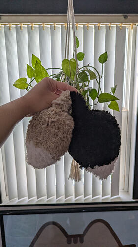 PXL_20260205_210558467