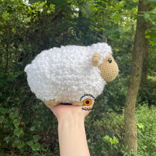 sheep