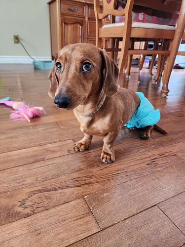 Resized_20260118_113155