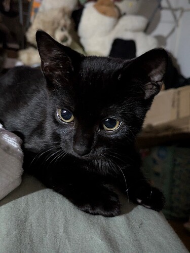 PXL_20250821_222445789.PORTRAIT.ORIGINAL