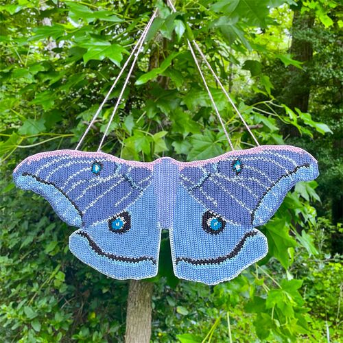 Polyphemous moth