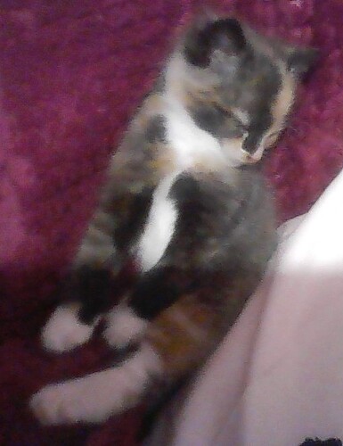 Sleepy Baby