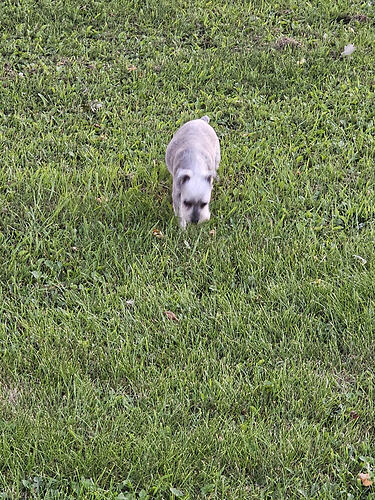 20260820_202401