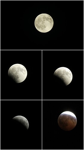 20260828_150715-COLLAGE