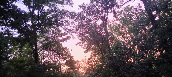 IMG_20250714_202841524_HDR_AE