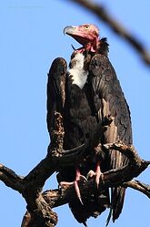 Screenshot 2025-11-01 202539