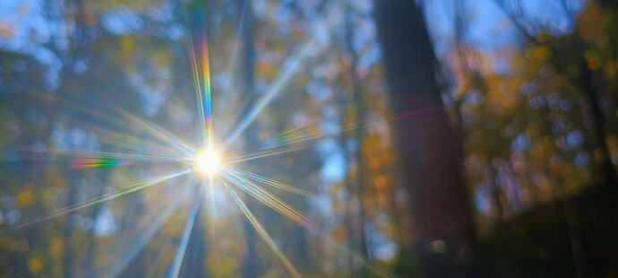 IMG_20251017_154805477_HDR_AE