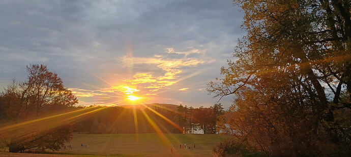 IMG_20251105_161745880_HDR_AE