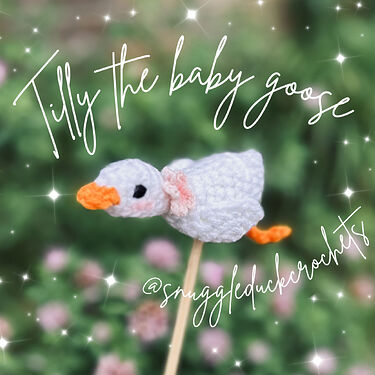 Tilly the Baby Goose