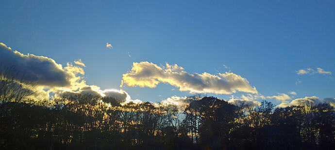 IMG_20251106_152816586_HDR_AE