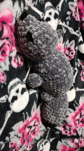 IMG_20250926_194702_843