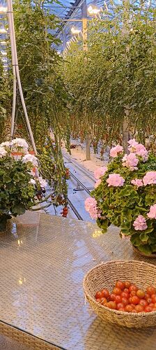 IMG_20250708_141213018_HDR_AE